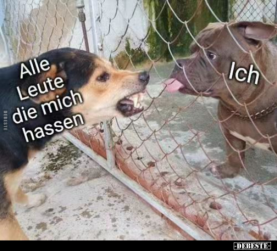 Alle Leute die mich hassen. - Ich.. - Lustige Bilder | DEBESTE.de