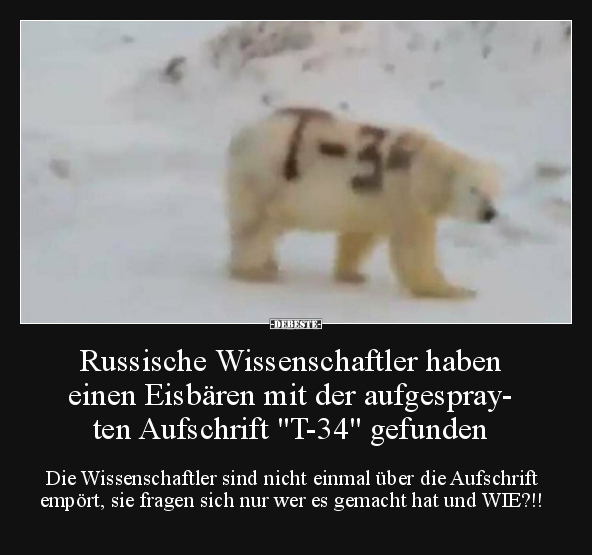 Russische Wissenschaftler haben einen Eisbären mit der.. - Lustige Bilder | DEBESTE.de