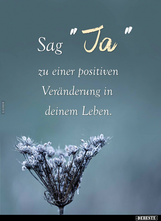 Sag" Ja" zu einer positiven Veränderung.. - Lustige Bilder | DEBESTE.de