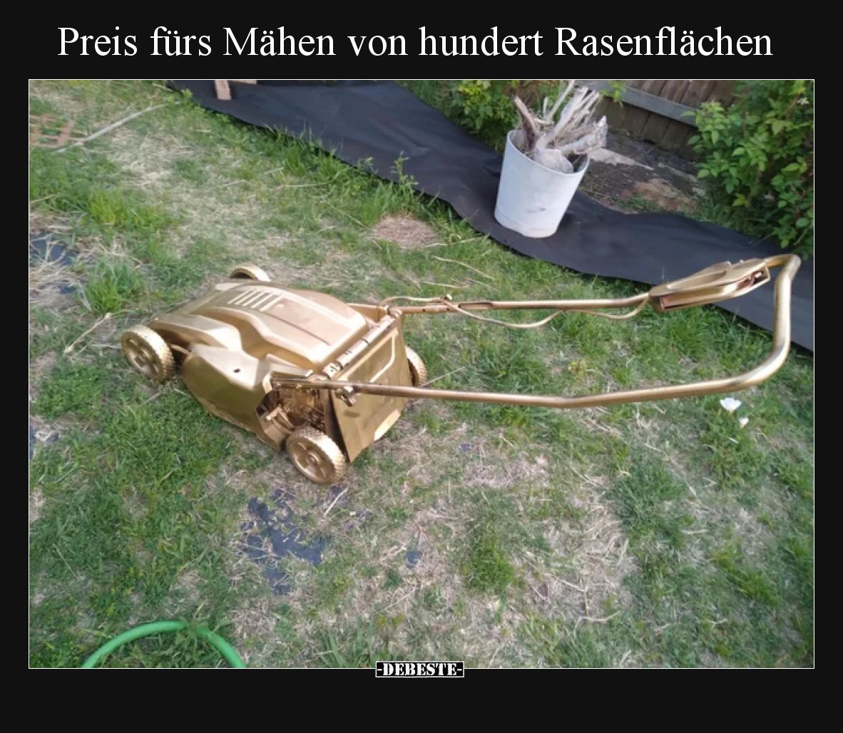 Preis fürs Mähen von hundert Rasenflächen
