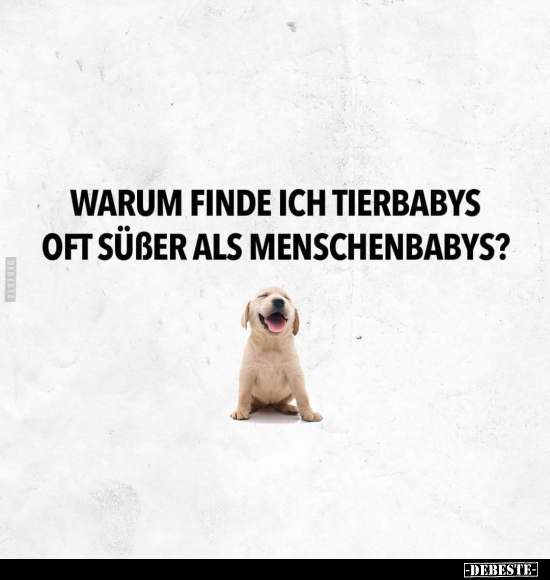Warum finde ich Tierbabys oft süßer als Menschenbabys?.. - Lustige Bilder | DEBESTE.de