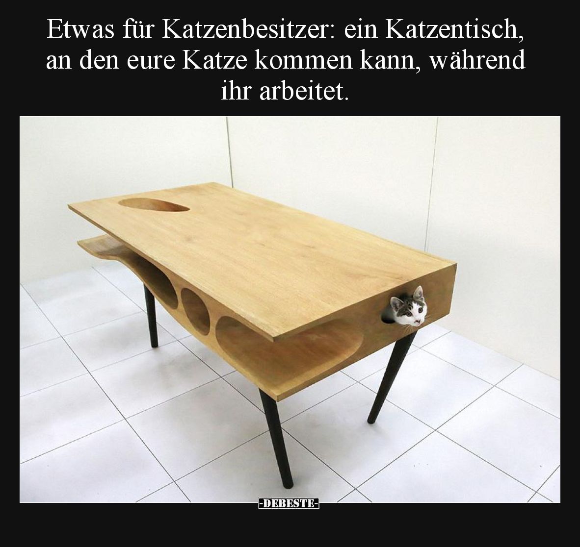 Etwas für Katzenbesitzer: ein Katzentisch, an den eure Katze kommen kann, während ihr arbeitet.