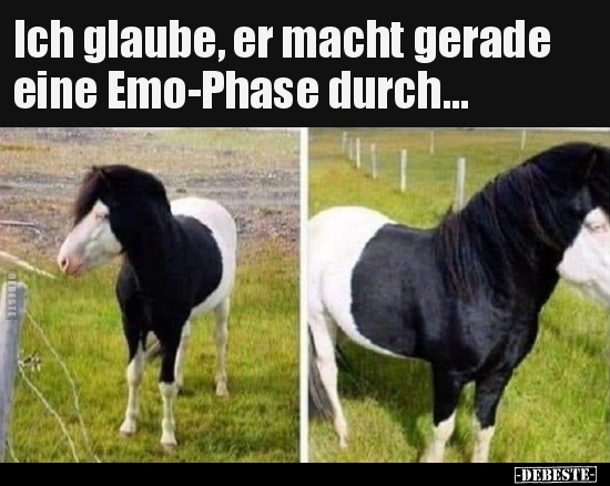 Ich glaube, er macht gerade eine Emo-Phase durch... - Lustige Bilder | DEBESTE.de