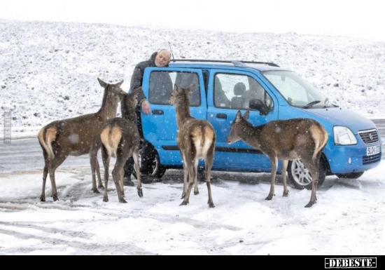  - Lustige Bilder | DEBESTE.de