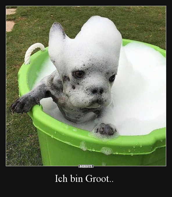 Ich bin Groot.. - Lustige Bilder | DEBESTE.de