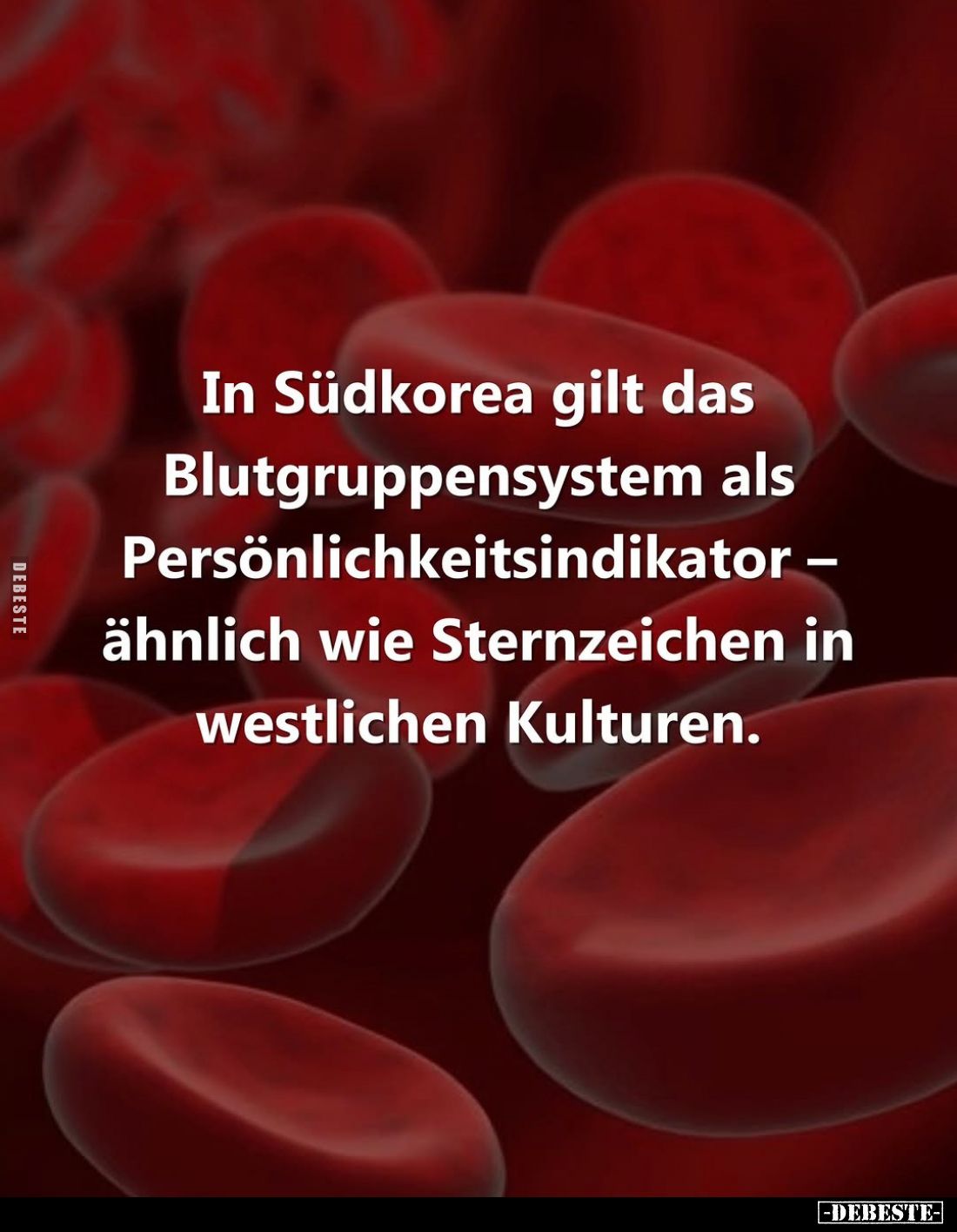 In Südkorea gilt das Blutgruppensystem als - Persönlichkeitsindikator ähnlich wie Sternzeichen in westlichen Kulturen.