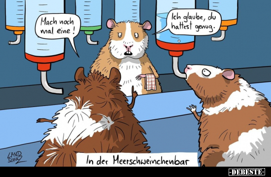 In der Meerschweinchenbar.. - Lustige Bilder | DEBESTE.de
