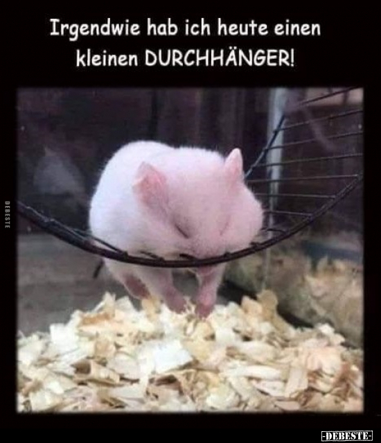 Irgendwie hab ich heute einen kleinen DURCHHÄNGER!.. - Lustige Bilder | DEBESTE.de