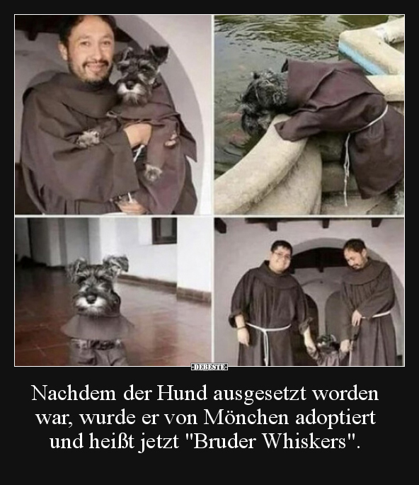 Nachdem der Hund ausgesetzt worden war, wurde er von.. - Lustige Bilder | DEBESTE.de