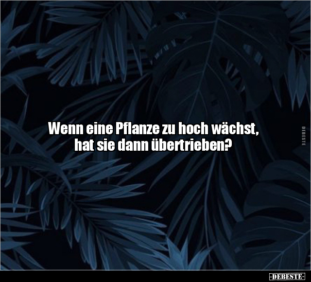 Wenn eine Pflanze zu hoch wächst, hat sie dann übertrieben?.. - Lustige Bilder | DEBESTE.de