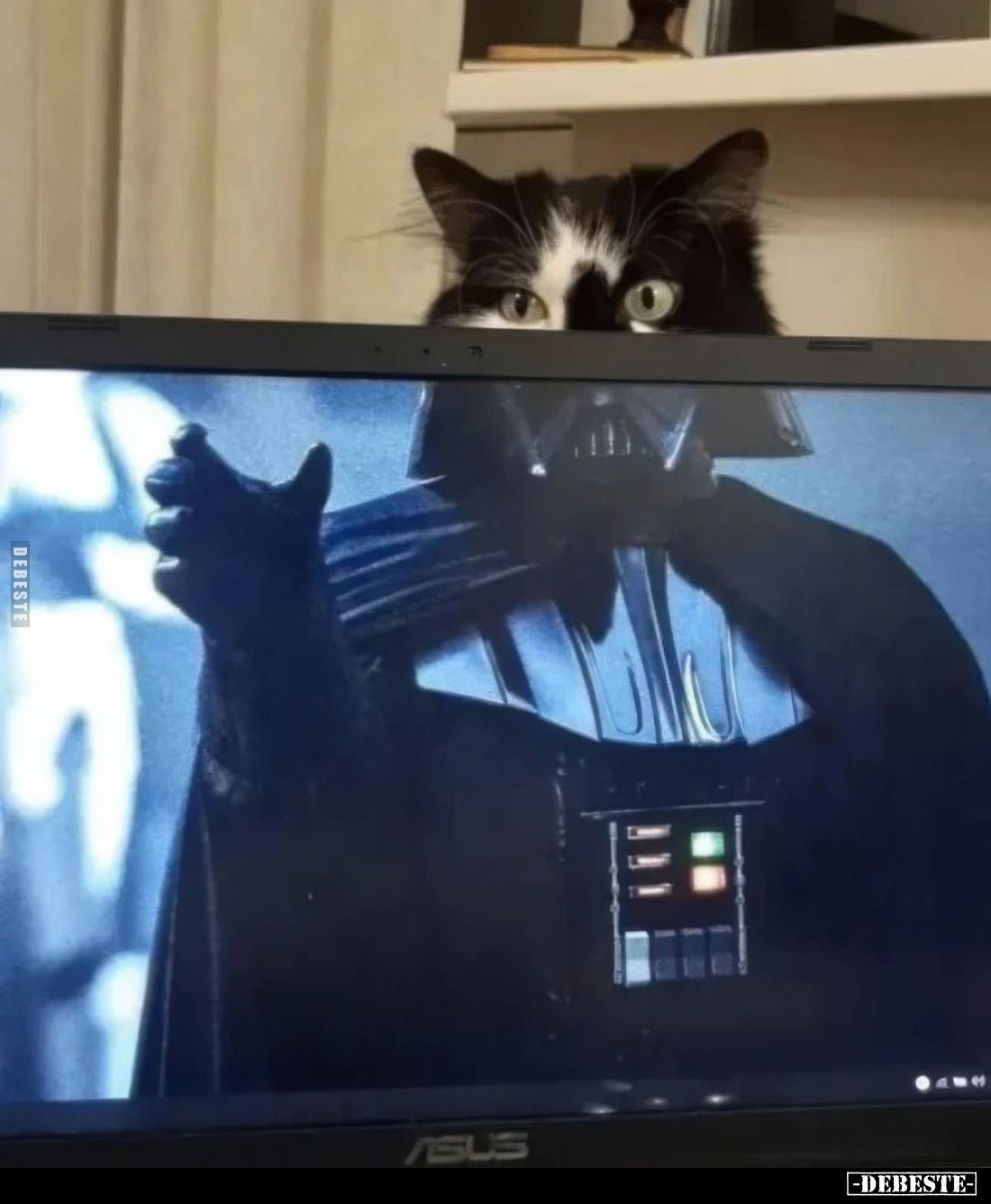  - Lustige Bilder | DEBESTE.de