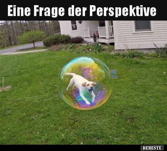 Eine Frage der Perspektive..