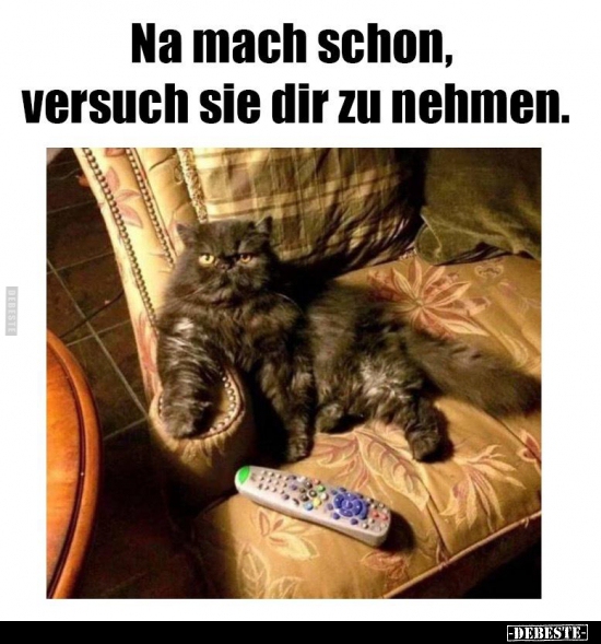 Na mach schon, versuch sie dir zu nehmen...