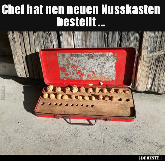 Chef hat nen neuen Nusskasten bestellt.. - Lustige Bilder | DEBESTE.de