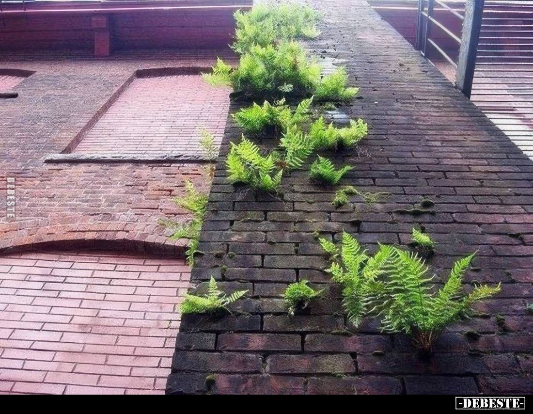  - Lustige Bilder | DEBESTE.de