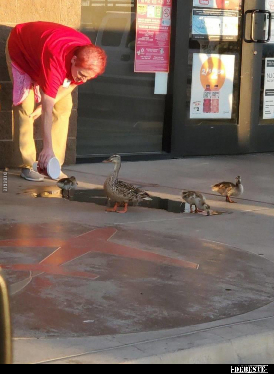  - Lustige Bilder | DEBESTE.de