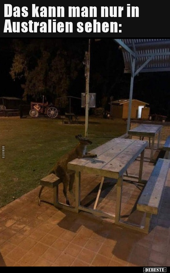 Das kann man nur in Australien sehen.. - Lustige Bilder | DEBESTE.de