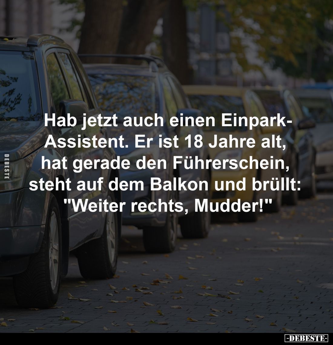 Hab jetzt auch einen Einpark-Assistent... - Lustige Bilder | DEBESTE.de