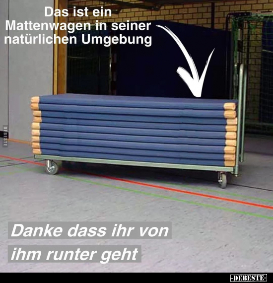 Das ist ein Mattenwagen in seiner natürlichen Umgebung.. - Lustige Bilder | DEBESTE.de