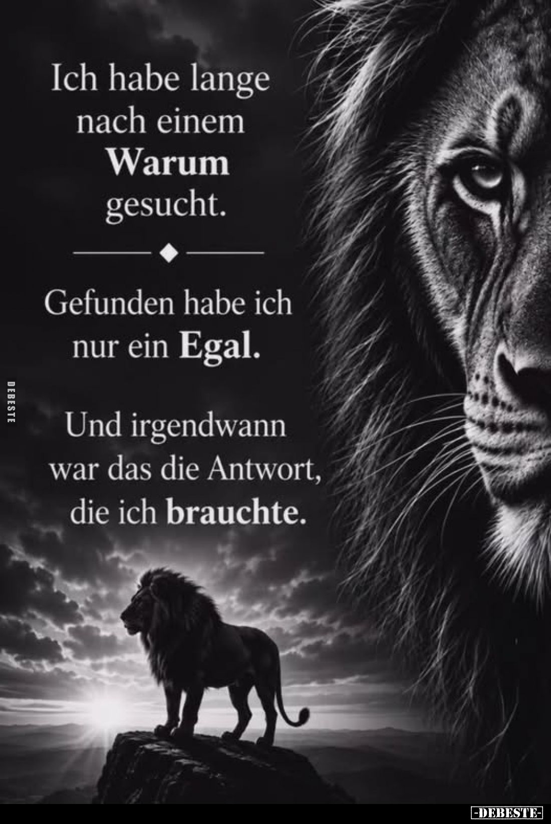 Ich habe lange nach einem Warum gesucht.
Gefunden habe ich nur ein Egal.
Und irgendwann war das die Antwort, die ich brauch...