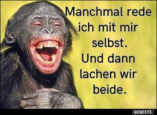 Manchmal rede ich mit mir selbst. Und dann lachen wir.. - Lustige Bilder | DEBESTE.de