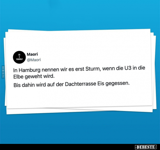 In Hamburg nennen wir es erst Sturm, wenn die U3 in die.. - Lustige Bilder | DEBESTE.de
