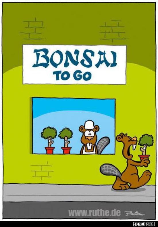 Bonsai to go