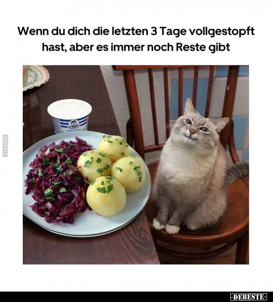 Wenn du dich die letzten 3 Tage vollgestopft hast, aber es.. - Lustige Bilder | DEBESTE.de