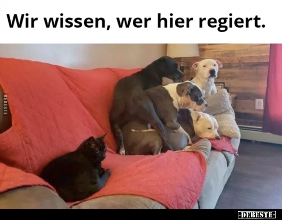 Wir wissen, wer hier regiert...