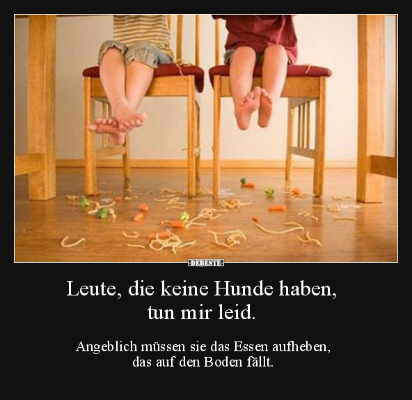 Leute, die keine Hunde haben,  tun mir leid..