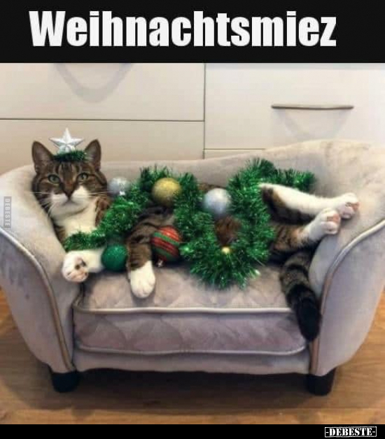 Weihnachtsmiez... - Lustige Bilder | DEBESTE.de