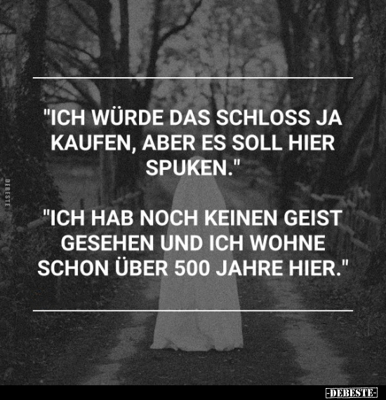 "Ich würde das Schloss ja kaufen, aber es soll hier.." - Lustige Bilder | DEBESTE.de