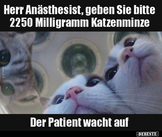 Herr Anästhesist, geben Sie bitte 2250 Milligramm..