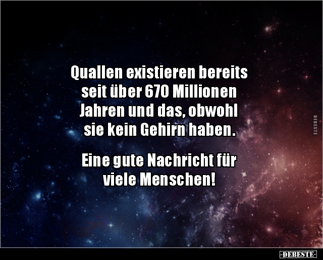 Quallen existieren bereits seit über 670 Millionen.. - Lustige Bilder | DEBESTE.de