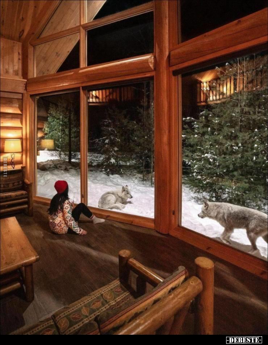  - Lustige Bilder | DEBESTE.de