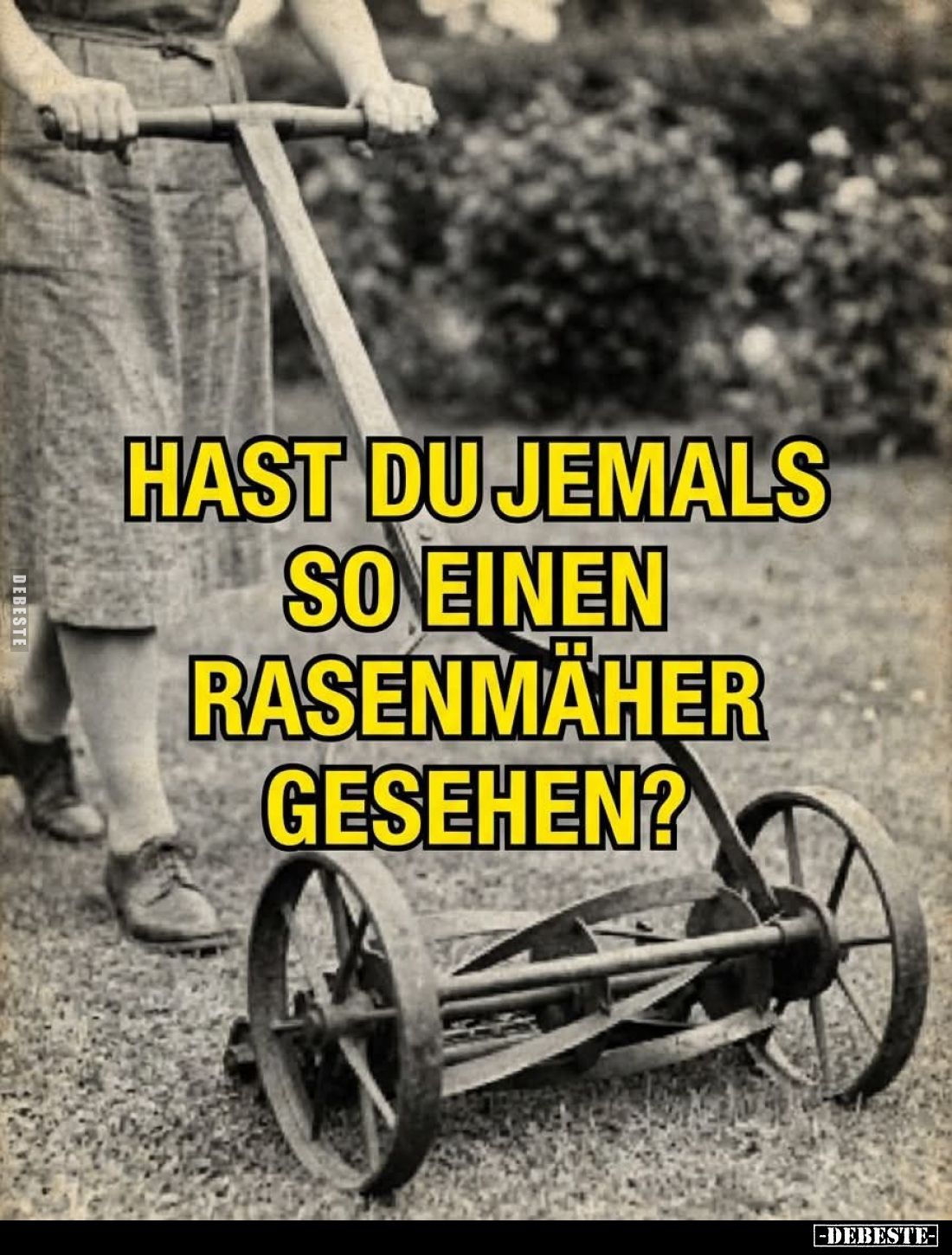 Hast du jemals so einen Rasenmäher gesehen?.. - Lustige Bilder | DEBESTE.de