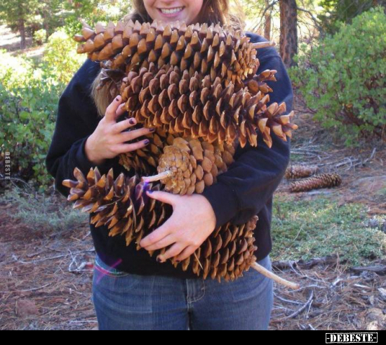  - Lustige Bilder | DEBESTE.de