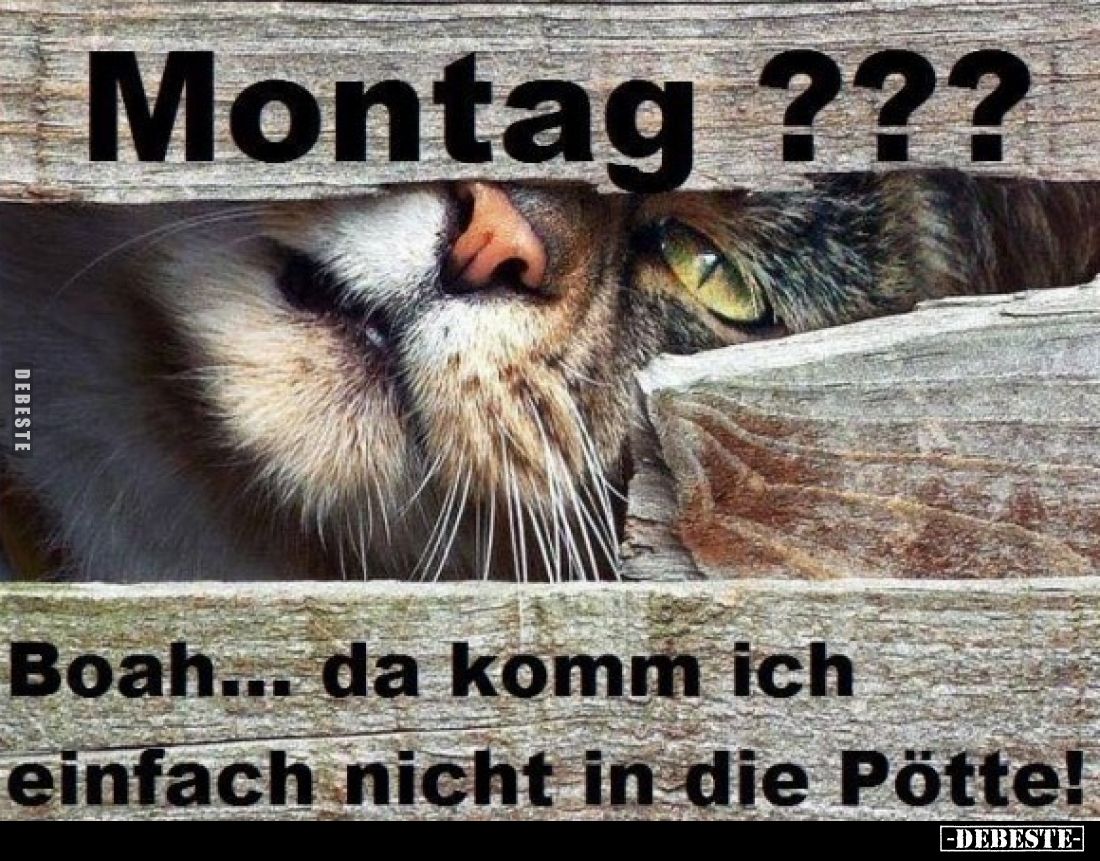 Montag ???
Boah... da komm ich einfach nicht in die Pötte!