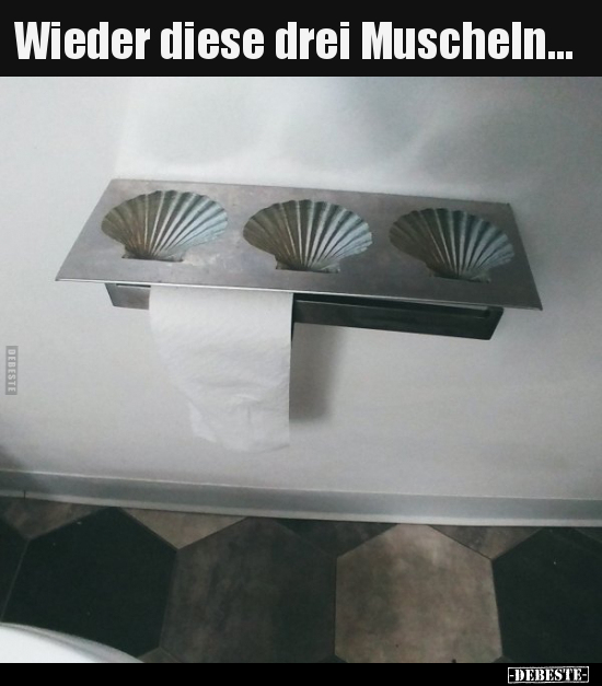 Wieder diese drei Muscheln...