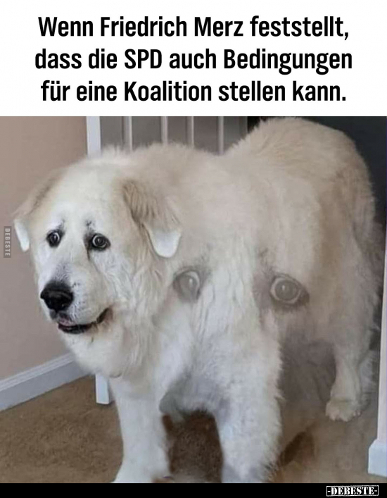 Wenn, Koalition