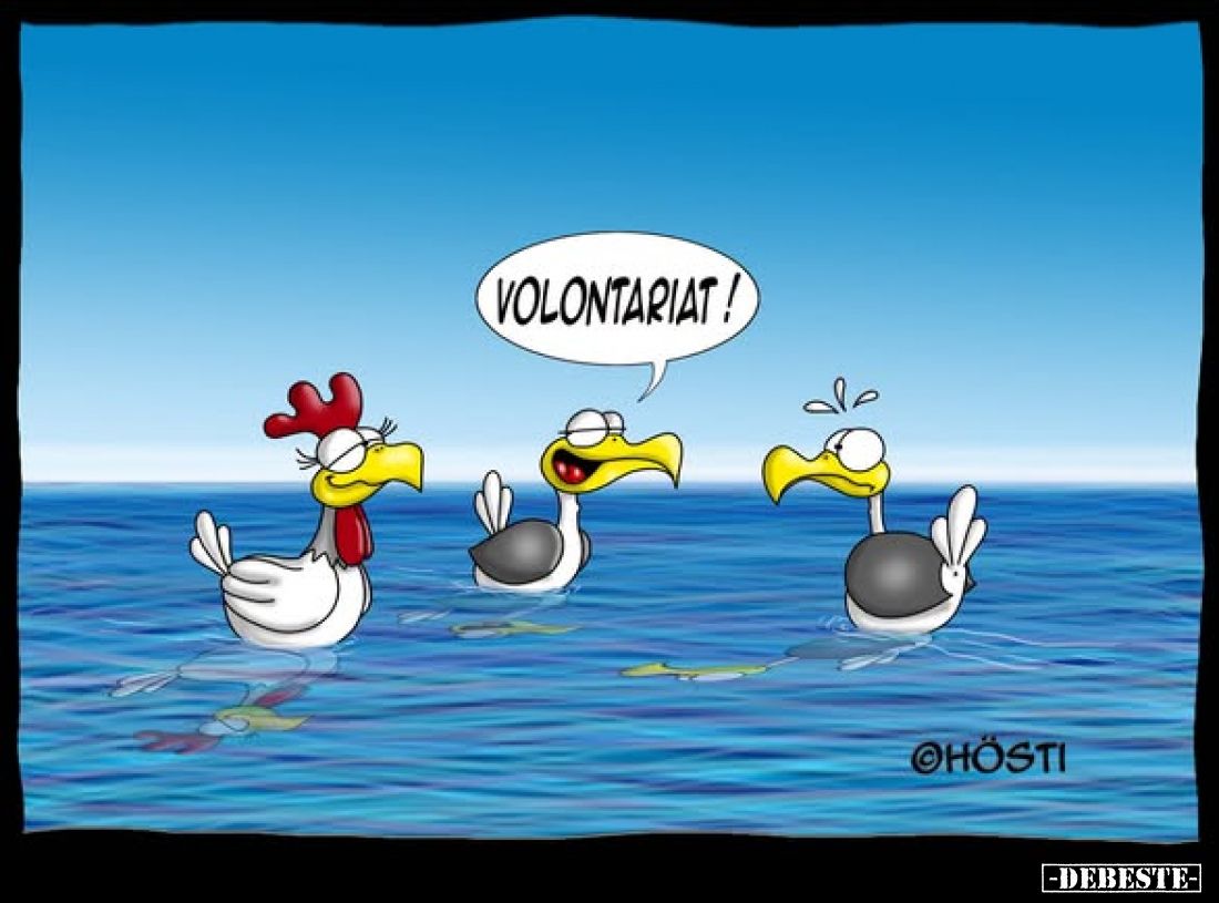 Volontariat!