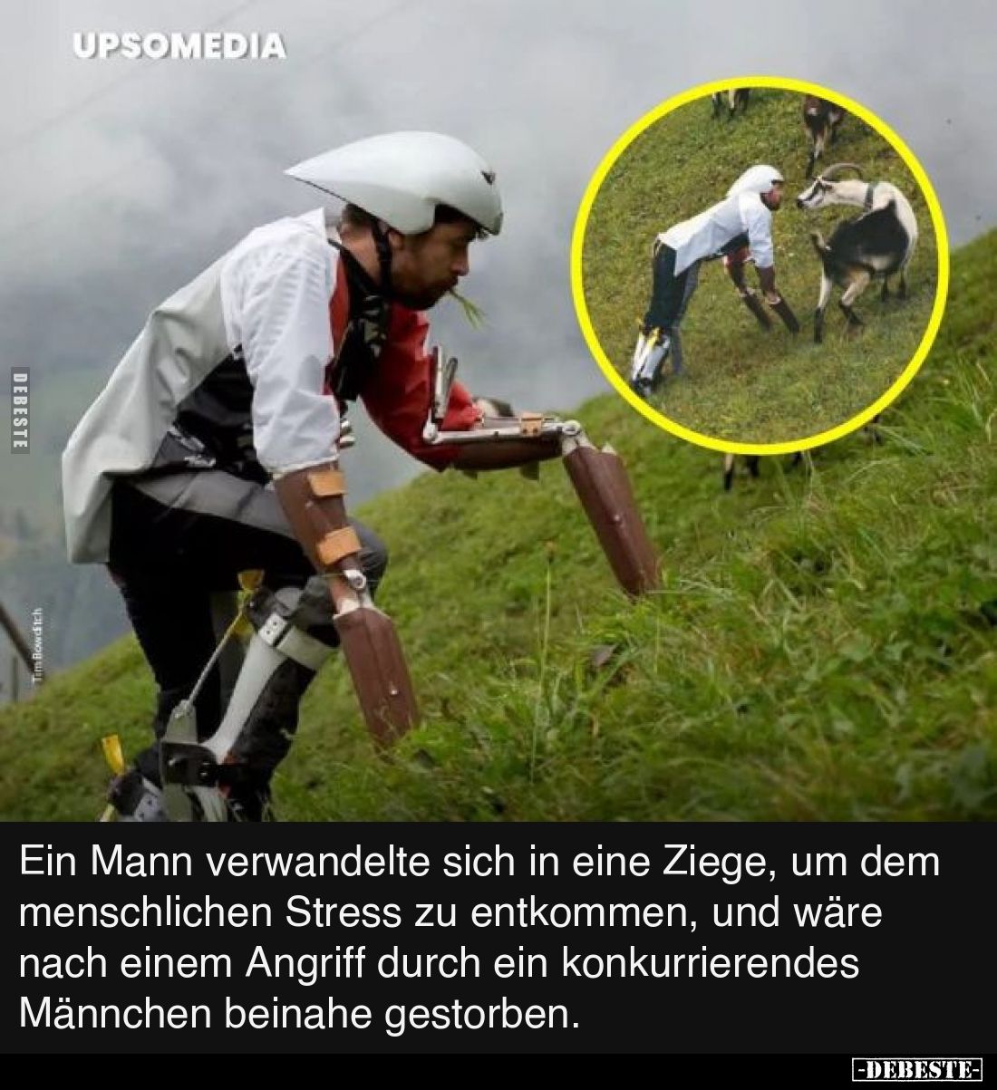 Ein Mann verwandelte sich in eine Ziege, um dem.. - Lustige Bilder | DEBESTE.de