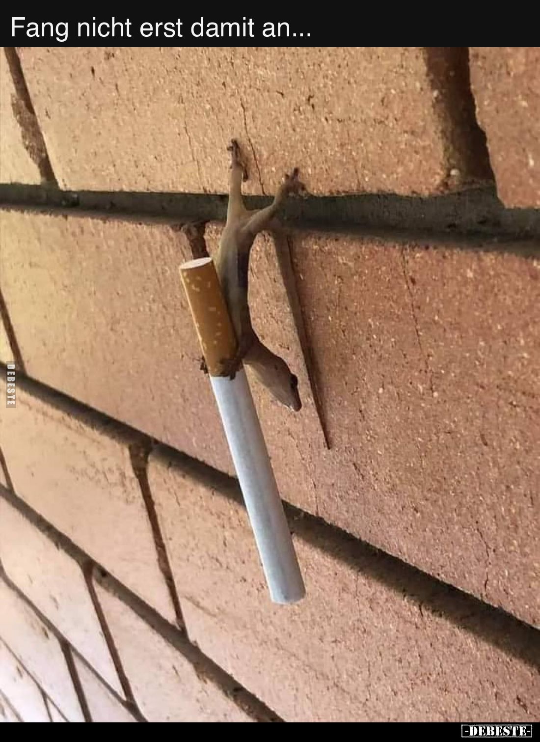 Fang nicht erst damit an...