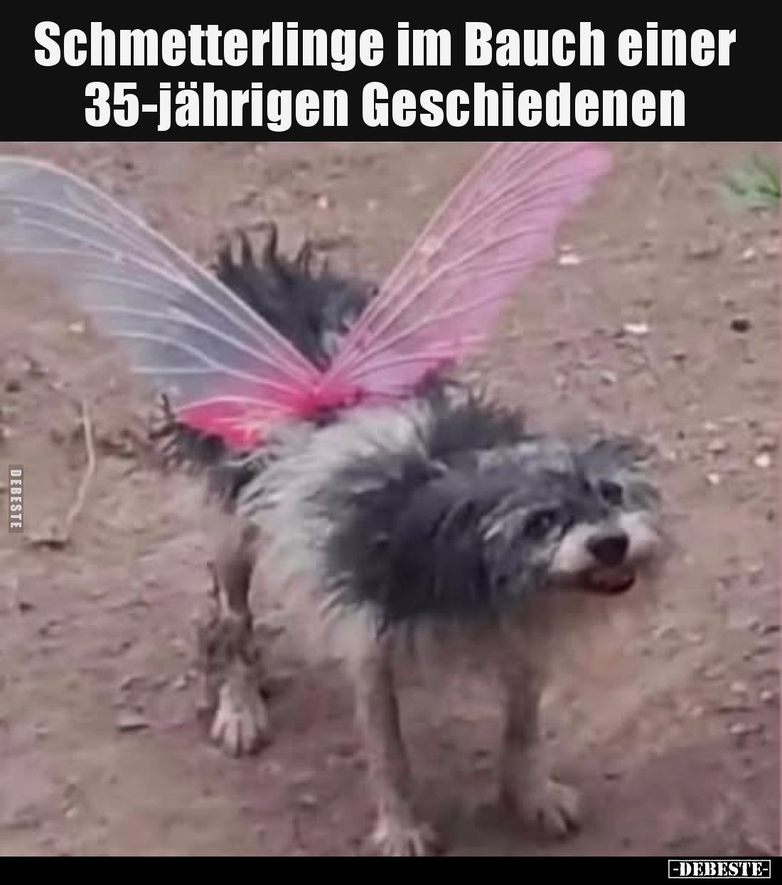 Schmetterlinge im Bauch einer 35-jährigen Geschiedenen