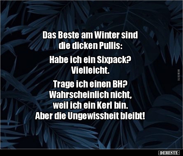 Das Beste am Winter sind die dicken Pullis:  Habe ich.. - Lustige Bilder | DEBESTE.de