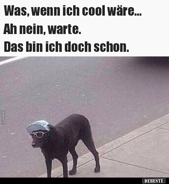 Was, wenn ich cool wäre... Ah nein, warte. Das bin ich.. - Lustige Bilder | DEBESTE.de