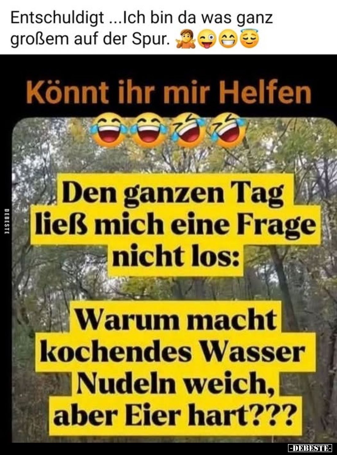 Entschuldigt...Ich bin da was ganz großem auf der Spur.
-
Könnt ihr mir Helfen
-
Den ganzen Tag ließ mich eine Frage nich...