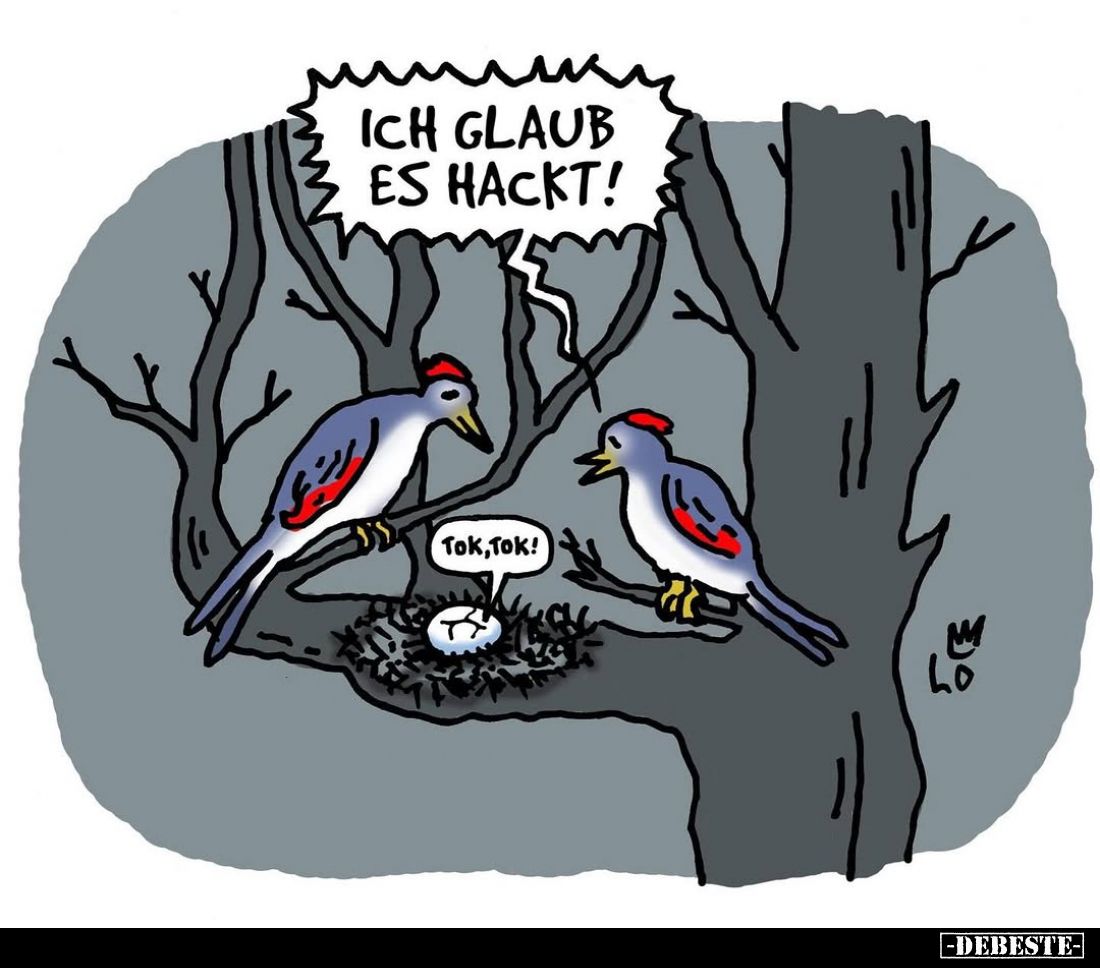 Ich glaub es hackt!