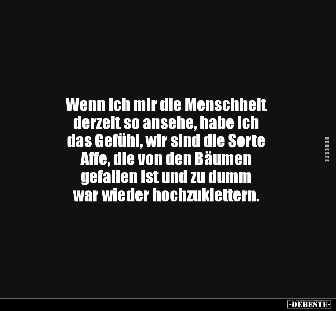 Wenn ich mir die Menschheit 
derzeit so ansehe, habe ich 
das Gefühl, wir sind die Sorte 
Affe, die von den Bäumen 
gefal...