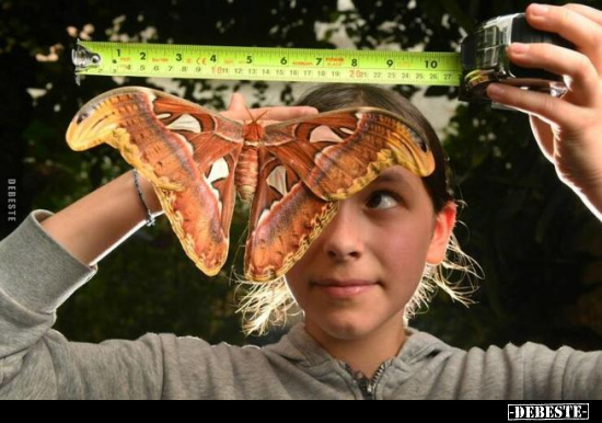  - Lustige Bilder | DEBESTE.de